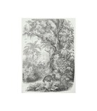 Tableau toile imprimée 50x70 cm tropiques panthère