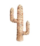 Cactus en jacinthe d'eau h80