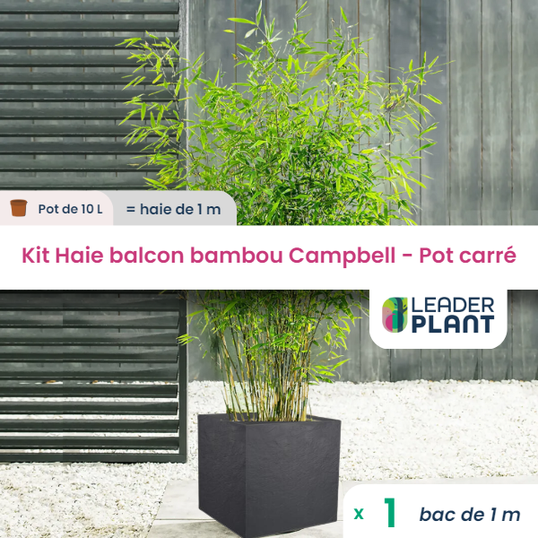 Kit bambou campbell 10l avec bac pour balcon