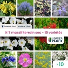 Kit massif terrain sec - 10 variétés - lot de 10 plants en godet
