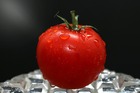 Sachet de graines de tomates pyros - sachet de 0,1 grammes - petite entreprise française - made in france