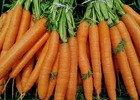 Sachet de graines de carotte amélioré 1/2 longue nantaise - sachet de 6 grammes - petite entreprise française - made in france