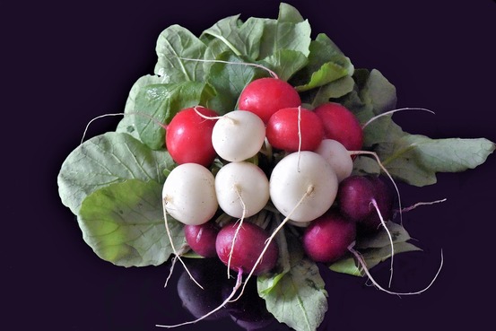 Sachet de graines de radis ronds en mélange (rouges, violets, jaunes, blancs) - sachet de 10 grammes - made in france