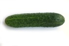 Sachet de graines de concombre  vert long anglais épineux - sachet de 3 grammes - petite entreprise française - made in france