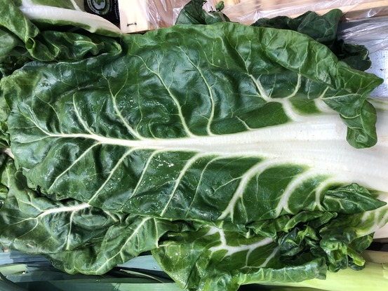 Sachet de graines de poirée verte à carde blanche bio - sachet de 1,5 grammes - petite entreprise française - made in france