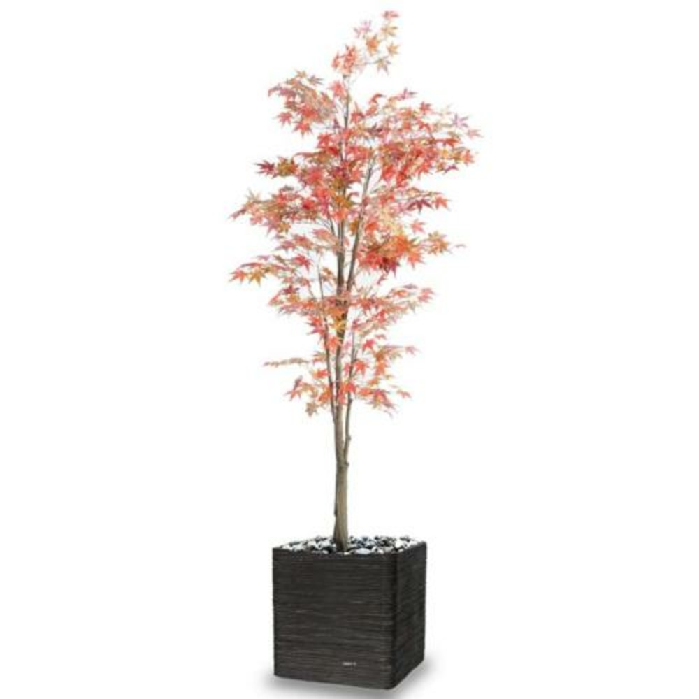 ARALIA ARBRE ARTIFICIEL H 3-(941630)