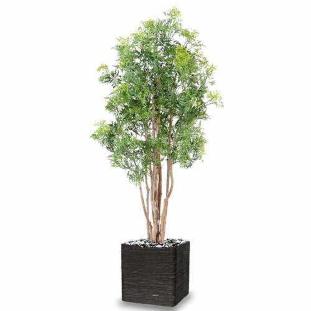 ARALIA ARBRE ARTIFICIEL 1 1-(941631)