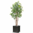 Aralia arbre artificiel 10 troncs h 150 cm vert - dimhaut: h 150 cm - couleur: v