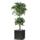 Ficus artificiel double boule h 180 cm vert en pot - dimhaut: h 180 cm - couleur