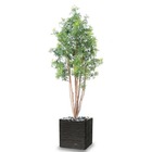 Aralia arbre artificiel 10 troncs h 180 cm vert - dimhaut: h 180 cm - couleur: v