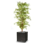 Aralia arbre artificiel h 180 cm vert-rouge - dimhaut: h 180 cm - couleur: vert-