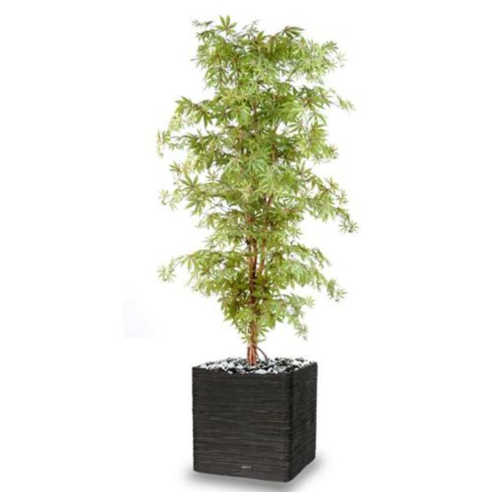 Aralia arbre artificiel h 210 cm vert-rouge - dimhaut: h 210 cm - couleur: vert-