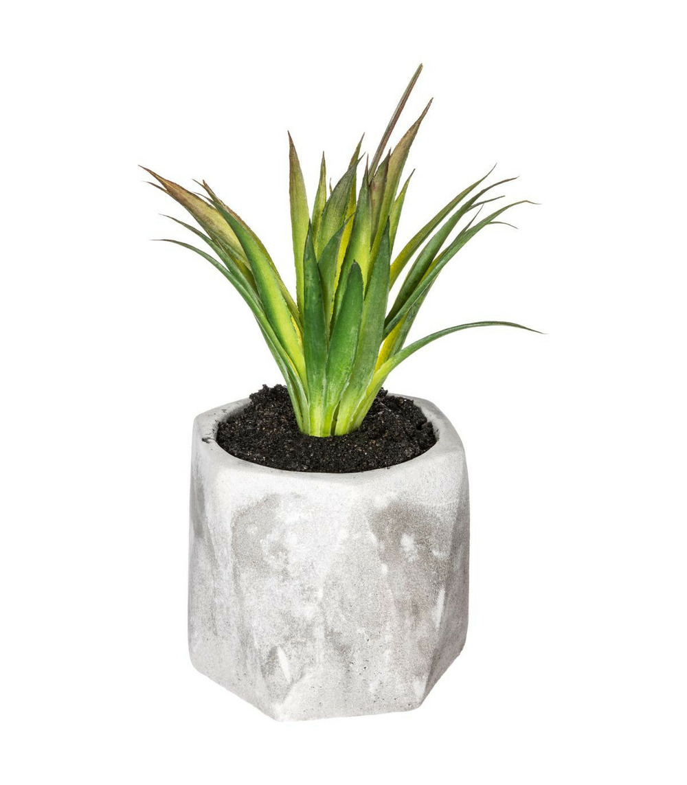 Plante grasse artificielle en pot h 14 cm