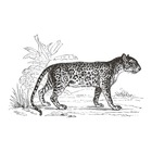 Sticker "léopard" - noir et blanc - 125x78 cm