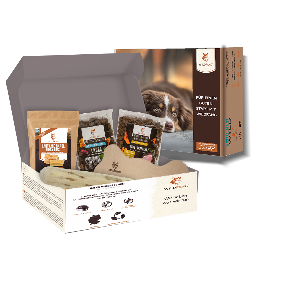 Wildfang - pack chiot « bienvenue compagnon » - m