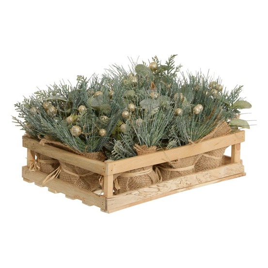 Bch compo baies or pot jute 16