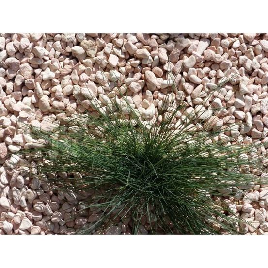 Galet rose 12-24 pack de 25 m² - 50 sacs - 1000 kg