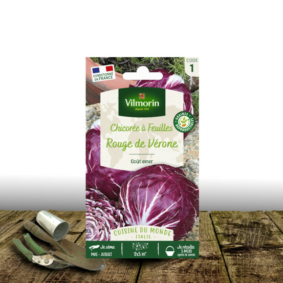Graines de chicorée rouge de vérone - vilmorin sachet