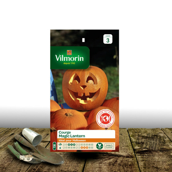 Graines de courge magic lantern - vilmorin sachet
