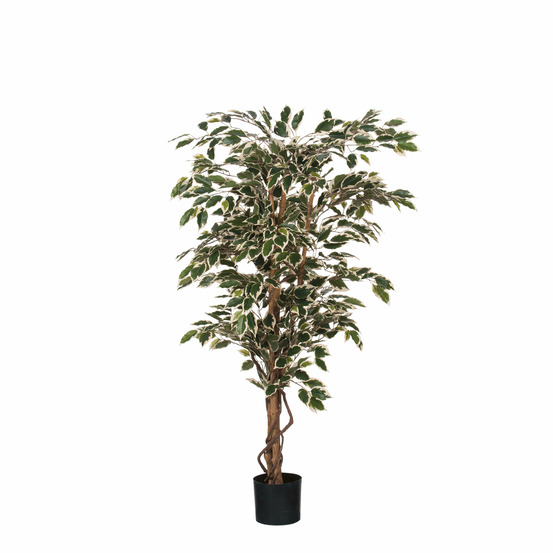 Mica decorations plante artificielle ficus - h135 cm - vert panaché