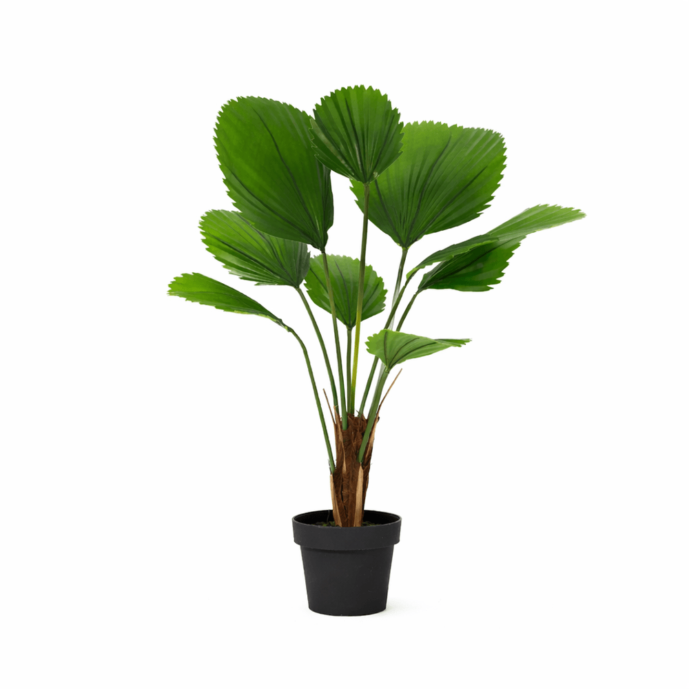 Licuala grandis - 104cm - ø21cm - plante artificielle