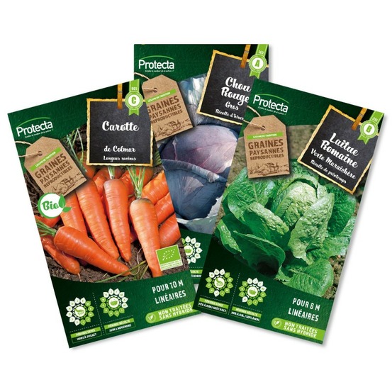 Pack potager - carotte colmar, laitue romaine, chou rouge