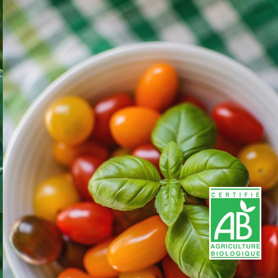 Graines de tomate cerise en mélange - sans traitement sachet