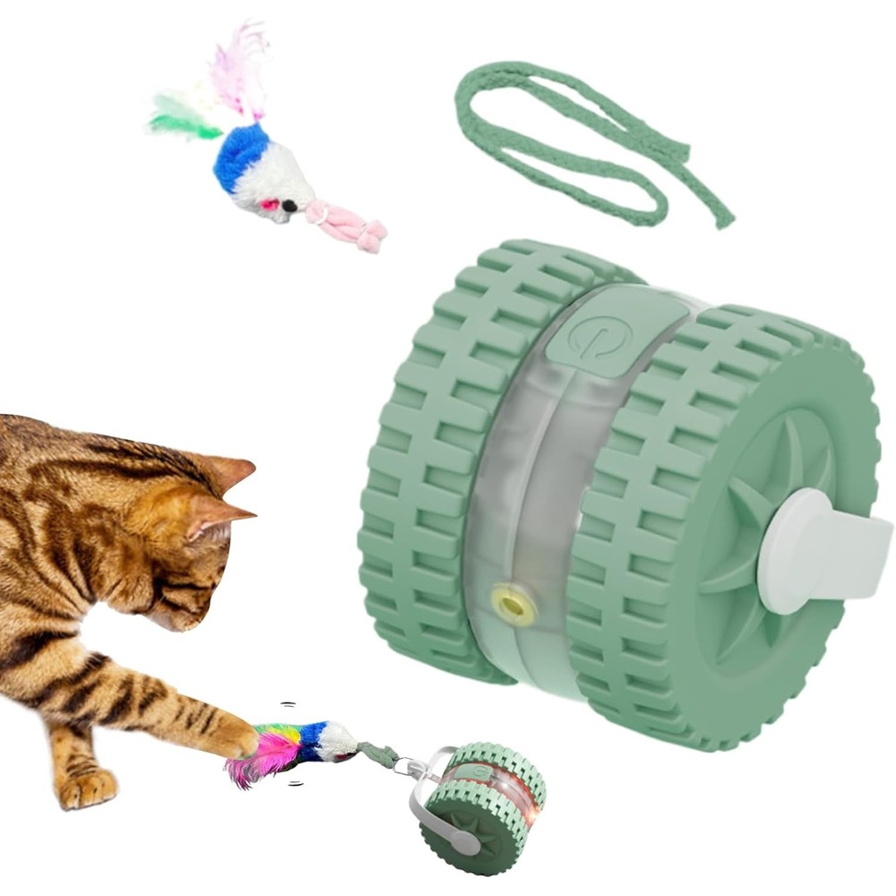 Jouet automatique éducatif pour félin