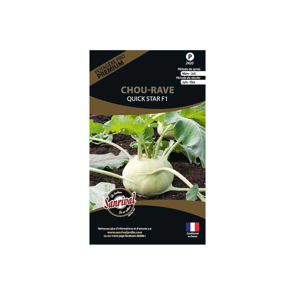 Graines potagères premium chou chou rave quick star