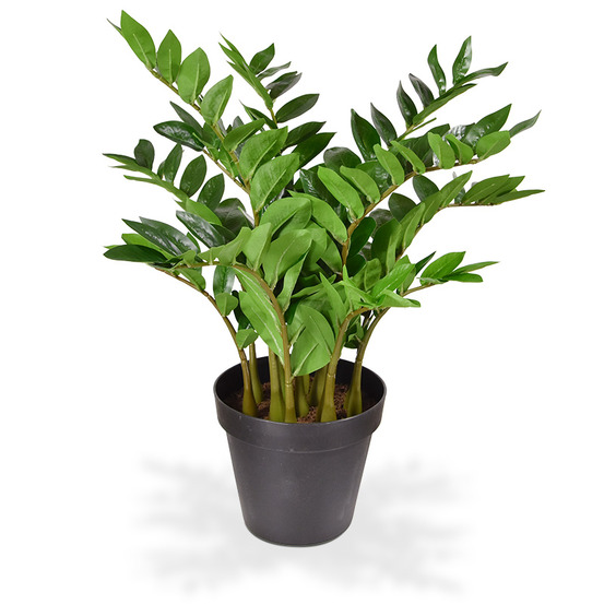 Zamioculcas plante artificielle de 70 cm en pot