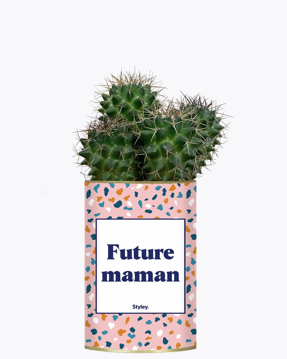 Plante à message - future maman - plante