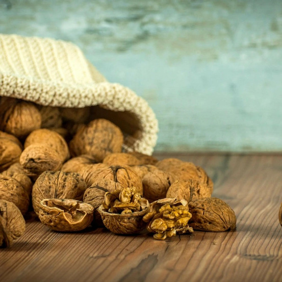 Noyer commun pot de 10l - 120/150 cm