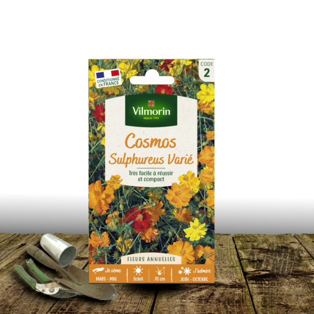 Graines de cosmos sulphureus varié - vilmorin sachet