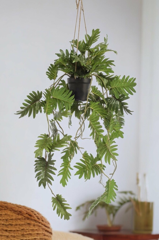 Philodendron plante artificielle - h80cm, ø18cm