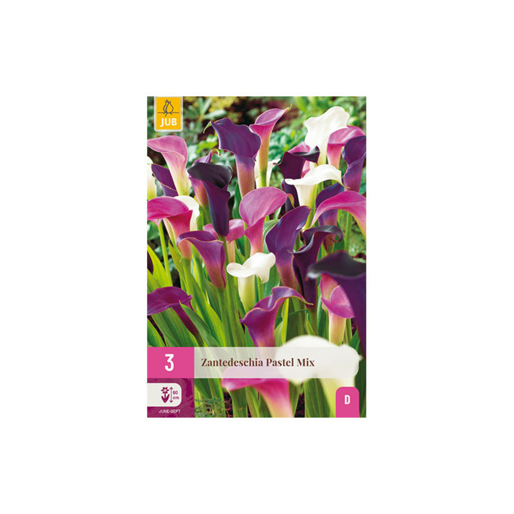 Mélange de 3 arums pastel rose