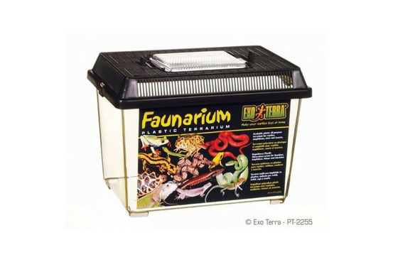 Faunarium - 23 x 15.3 x 16.5 cm pour reptiles