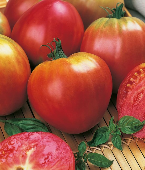 Tomate cuor di bue - 0.5 g