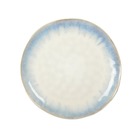 Assiette plate bleu clair 27.7cm par boite de - 6