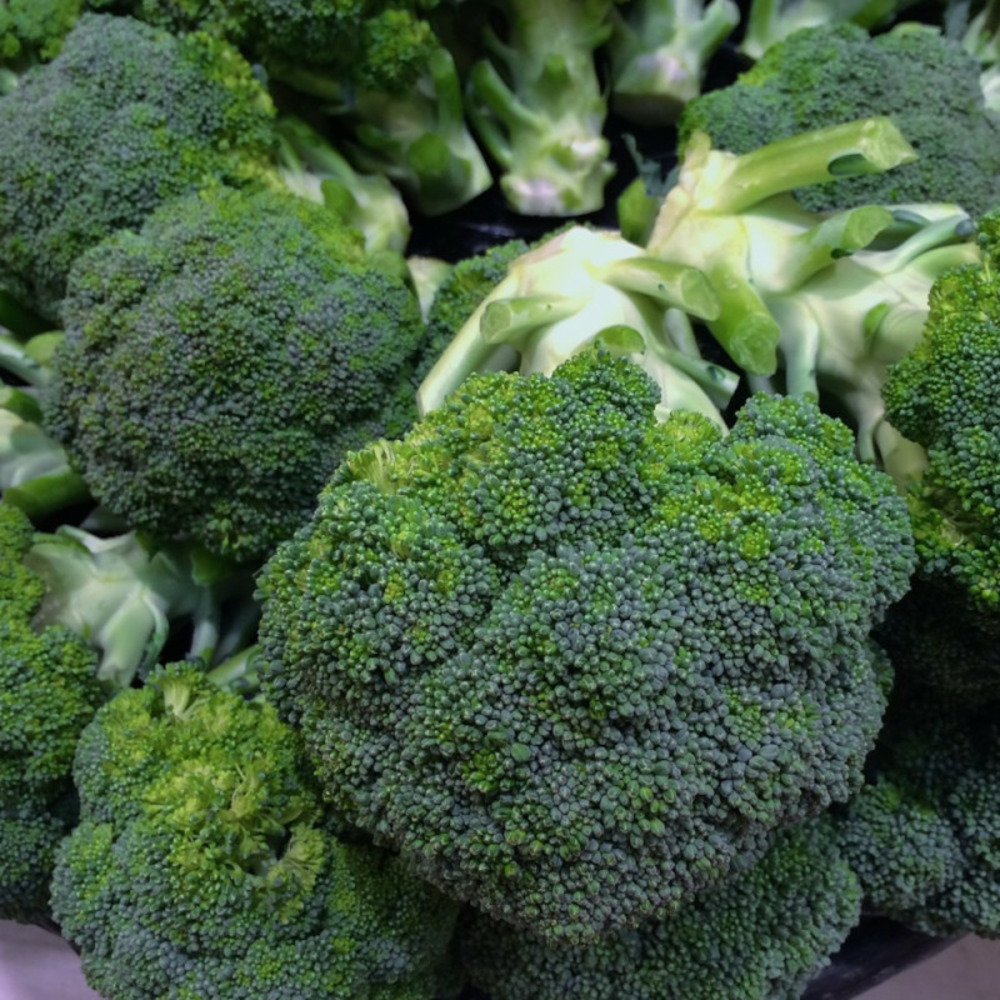 Graines de chou brocoli verdia hf1 - vilmorin sachet