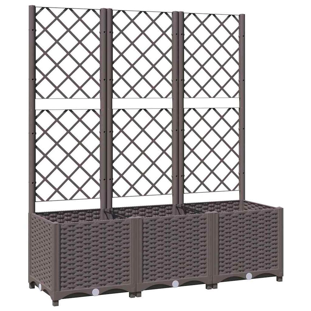 Jardinière avec treillis marron 120 x 40 x 136 cm pp