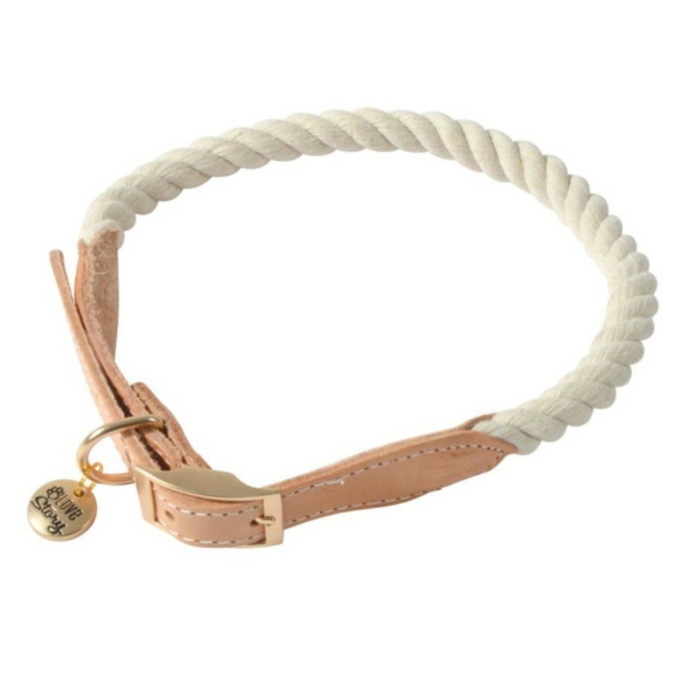 Collier pour chien réglable 