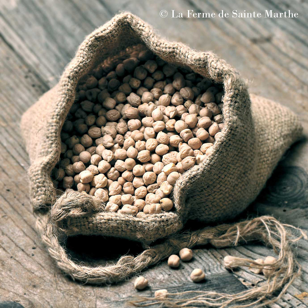 Pois chiche 'pascia' le sachet de graines de 80 grammes