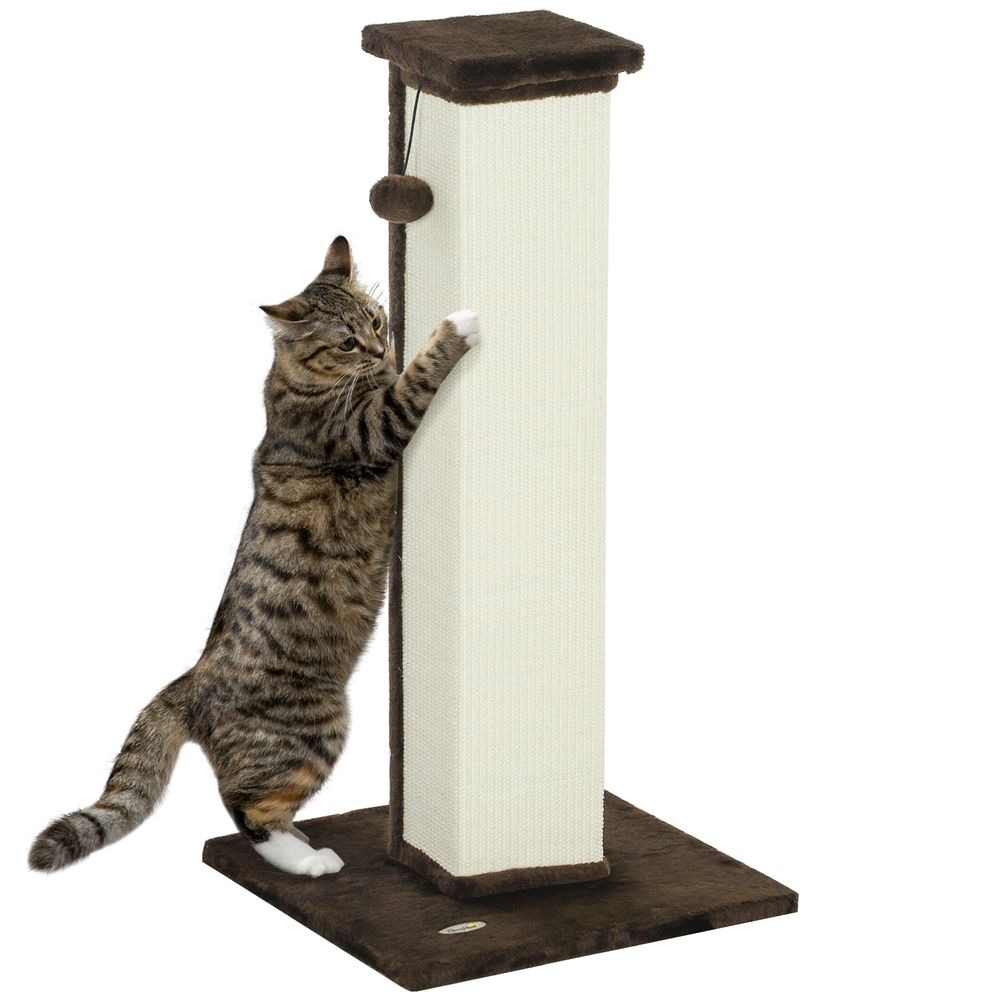 Poteau griffoir chat sisal peluche intérieur jeu aiguiser griffes 81cm marron