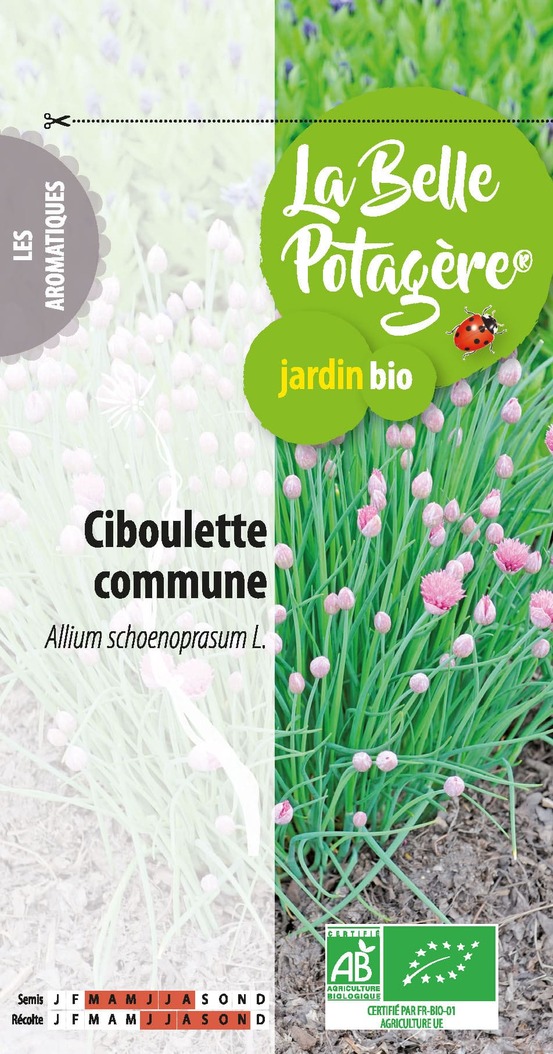 Ciboulette commune 0,5 g