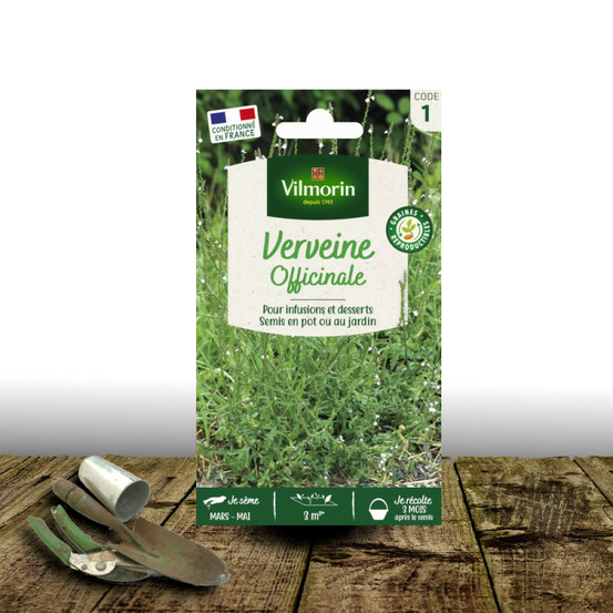 Graines de verveine officinale - vilmorin sachet