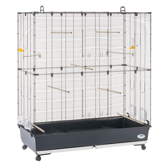 Ferplast volière cage à oiseaux planeta large grande cage pour canaris, pinsons, perruches ondulées, inséparables, métal,