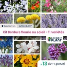 Kit bordure fleurie au soleil - 11 variétés - lot de 12 plants en godet