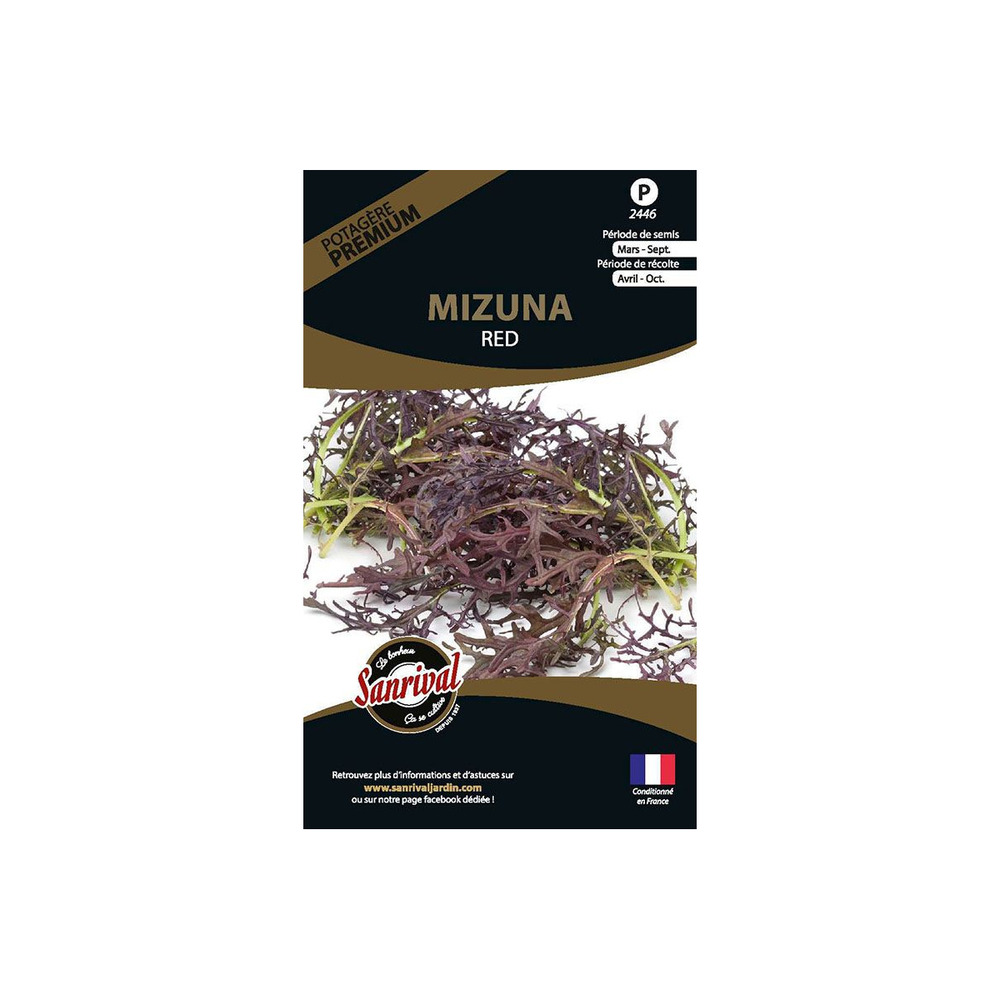 Graines potagères premium mizuna rouge