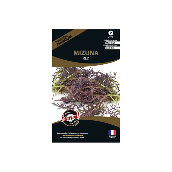 Graines potagères premium mizuna rouge
