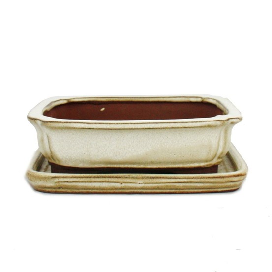 Bol bonsaï avec soucoupe taille 2 - rectangulaire g12 - beige clair - l 15,5cm - b 12cm - h 4,5cm